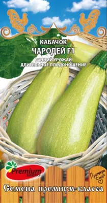 КАБАЧОК КУСТОВОЙ (ВЕСНА), купить в Одессе, Киеве и Украине | Agro-Market