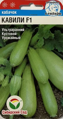 Кабачки Премиум Сидс ПС Кабачок ЦУККИНИ - купить по выгодным ценам в  интернет-магазине OZON (836700854)