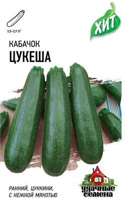 Как вырастить обильный урожай кабачков всего на одном кусте. 5 полезных  советов. | Дом цветов | Дзен