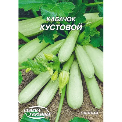 КАБАЧОК \"КУСТОВОЙ РАННИЙ\": купить кабачок \"Кустовой ранний\" почтой | PLOD.UA