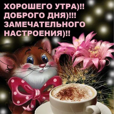 Необычные картинки \"С Добрым Утром!\" (312 шт.)