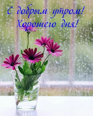 Открытки \"Доброго утра мая!\" бесплатно (158 шт.)