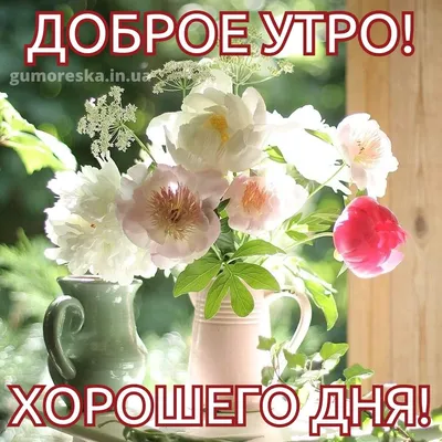 Картинки \"С Добрым Утром, Любимая!\" (252 шт.)
