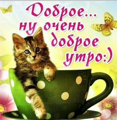 Картинки \"С Добрым Утром!\" со смыслом (200+)