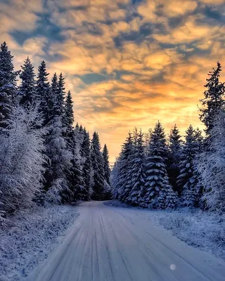 Качественные фото зимы фотографии