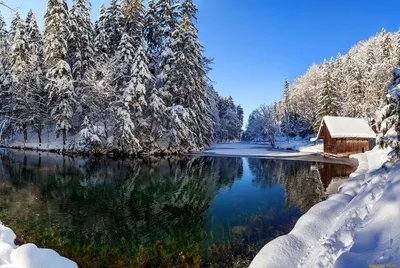 Фотография Новый год зимние Природа Снег Парки Ночь Гирлянда Скамейка  Города Деревья Праздники Рождество Зима Скамья … | Зимние картинки,  Декорации, Фоновые рисунки