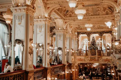 New York Café Budapest: The World's Most Beautiful? | The Common Wanderer