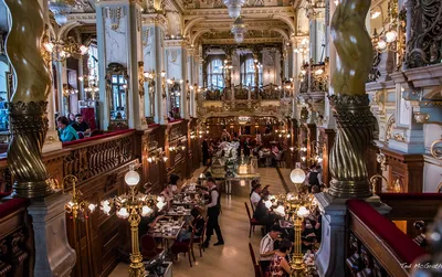 Budapest's New York Cafe: World's most elegant spot for coffee? | CNN