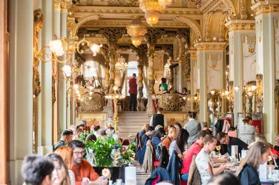 New York Café Budapest: The World's Most Beautiful? | The Common Wanderer