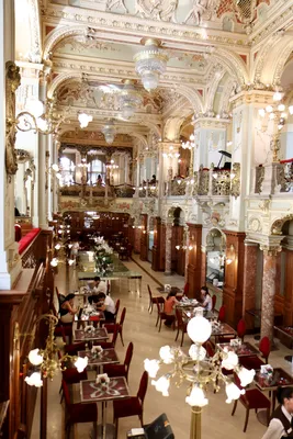 This grand Budapest hotel really has 'the most beautiful cafe in the world'