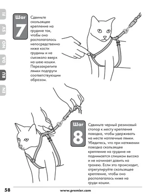 Шлейка для кошки: Как выбрать правильный размер и скачать png изображение