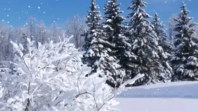 Как падает снег фотографии