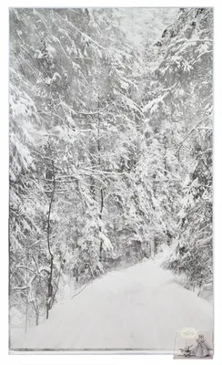Фото, отражающие магию падающего снега, бесплатно