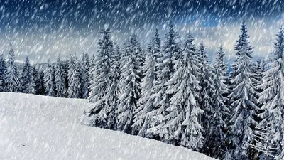 Скачать фото снегопада - Формат jpg