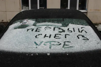 Фото с замороженной красотой: Как подписать со снегом