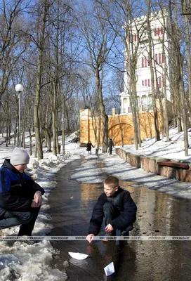 Пленительные изображения заснеженного мира