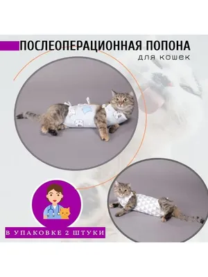 Как выглядит шов после стерилизации кошки на фото: скачать webp бесплатно