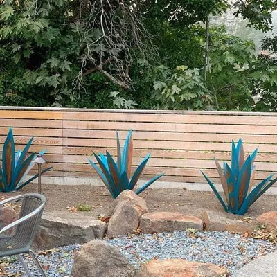 Суккуленты в открытом грунте (юкки, агавы, кактусы) - Страница 8 -  myflora.org.ua