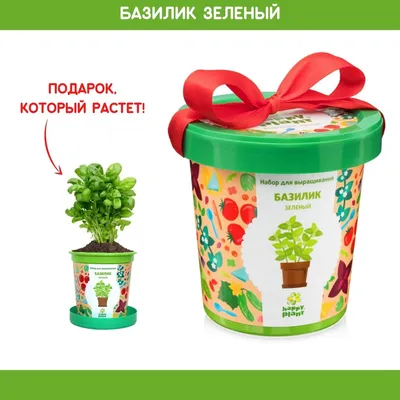 Подарочный набор для выращивания в горшке Кактус Егоза Happy Plants |  Купить с доставкой в интернет-магазине kandi.ru
