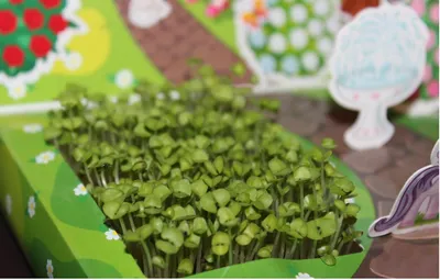 Набор для Выращивания Растений Happy Plant Кактус Егоза – купить в  интернет-магазине OZON по низкой цене