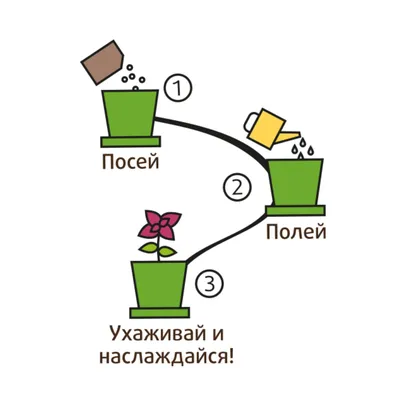 Стоит ли покупать Набор для выращивания Happy Plant Горшок подарочный Кактус  Егоза? Отзывы на Яндекс Маркете