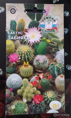 Семена Огурец F1 Егоза: описание сорта, фото - купить с доставкой или  почтой России
