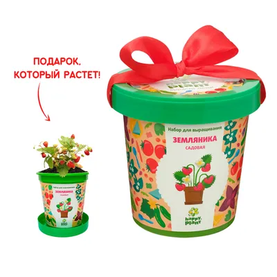 Набор для выращивания Happy Plant Кактус Егоза купить по цене 230 ₽ в  интернет-магазине Детский мир