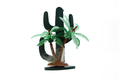 Банановая пальма комнатная в горшке (банановое дерево) | Cactus.by