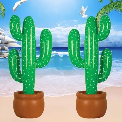 The Cactus Garden Of The Palma Peninsula Background, Elongated Cactus, Hd  Photography Photo Background Image And Wallpaper for Free Download