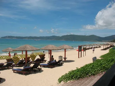 Отель Cactus Resort Sanya 4*, Хайнань, Китай - отзывы 2024, рейтинг отеля,  фото | Купить тур в отель Cactus Resort Sanya