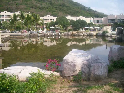 Отель Cactus Resort Sanya By Gloria | Хайнань, Китай