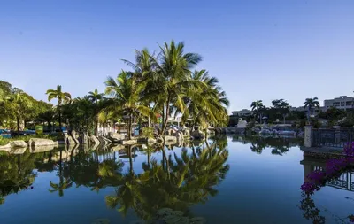 Отзывы об отеле Cactus Resort Sanya 4* (о. Хайнань)