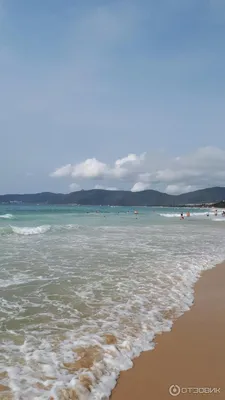 Cactus Resort Sanya By Gloria 4* (о. Хайнань, Китай) - цены, отзывы, фото,  бронирование - ПАКС