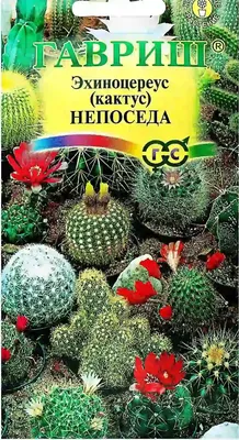 Семена Кактус Непоседы смесь, Мнг - купить по выгодной цене | Урожайка