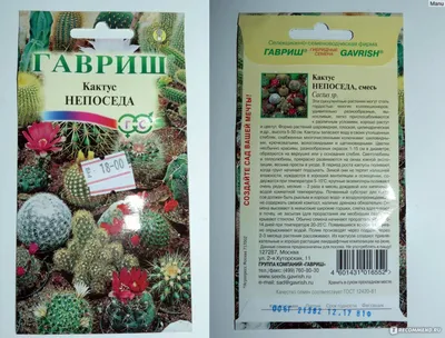 Кактус Сан-Педро, Семена экзотических и редких растений - Кактус Сан-Педро