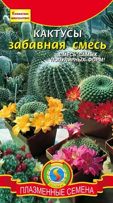 Купить Семена - Кактус комнатный, смесь, Hem Zaden (Нидерланды), 0,1 г. ❱❱  Колибри-маркет ❰❰❰