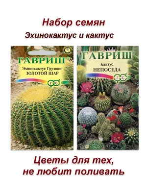 Кактус Гавриш Семена, комнатные цветы серия \"Кактусы и суккуленты\", 2  пакета - купить по выгодным ценам в интернет-магазине OZON (268649938)