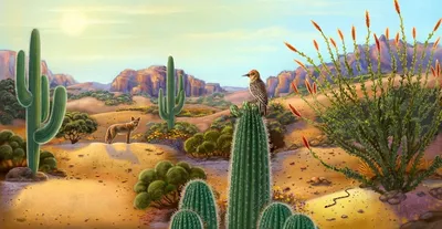 Съедобные кактусы в Мексике (фото+видео) | ¡Vámonos!