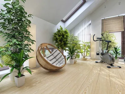Кактусы: как растить, ухаживать и использовать в декоре | myDecor
