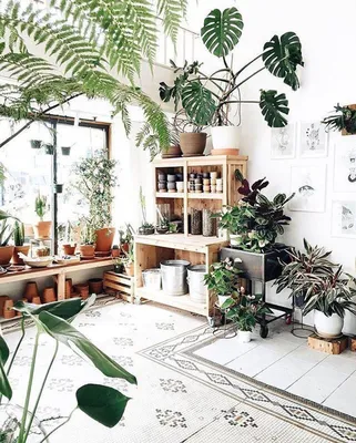 Интерьерное озеленение и зимние сады - Gardenstudio.pro