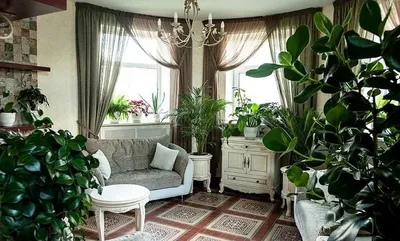 Самые лучшие и полезные комнатные цветы для квартиры и дома: какие выбрать,  что нужно знать