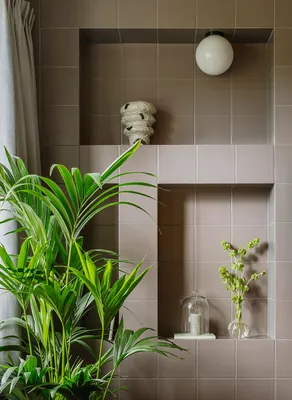 Флора в интерьере | кактусы как стильный элемент декора – Home and Interiors