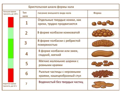 CMD Медицинские анализы г. Клин - При панкреатите воспаляется поджелудочная  железа, а при ее воспалении ферменты, выделяемые железой, не выбрасываются  в двенадцатиперстную кишку, а активизируются в самой железе и начинают ее  самопереваривать.