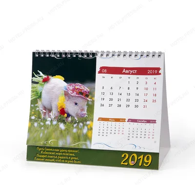 Календарь-домик на 2024г Softness, на гребне – купить по доступной цене в  Минске - OFFICE.BY