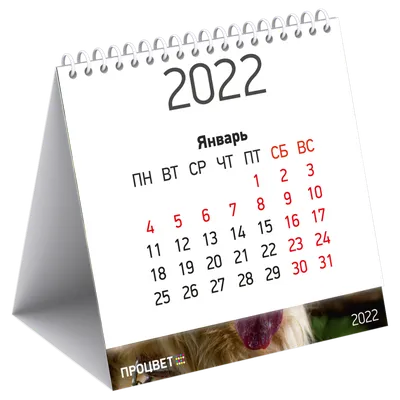Календарь-домик MESHU \"Catbox\", на гребне, 2023 г △MESHU-MS_43594 - купить  в Москве по цене 65 руб в интернет-магазине Красный карандаш