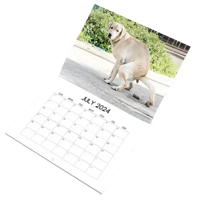 Календарь на стену с изображением собаки, календарь на стену 2024, календарь  на ежемесячной стене, забавный календарь на стену для дома, гостиницы,  гостиной, гостиницы, 2024 | AliExpress