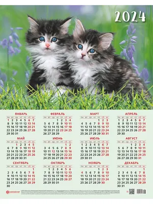 Листовой календарь 2024 плакат постер на стену Газетный мир 173107267  купить в интернет-магазине Wildberries