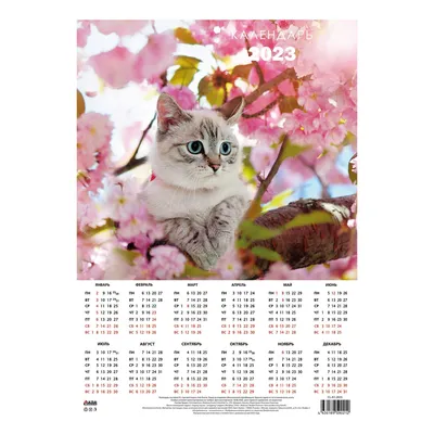 Купить календарь настенный плакат на 2023 год листовой А1 в ассортименте,  цены на Мегамаркет | Артикул: 100045360805