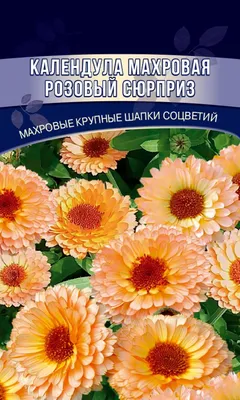 Календула махровая Розовый сюрприз 0,15г купить в Екатеринбурге в  интернет-магазине ДОМ