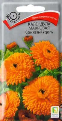 Календула махровая Радио за 0,2 г - купить в Украине — интернет-магазин  СолнцеСад